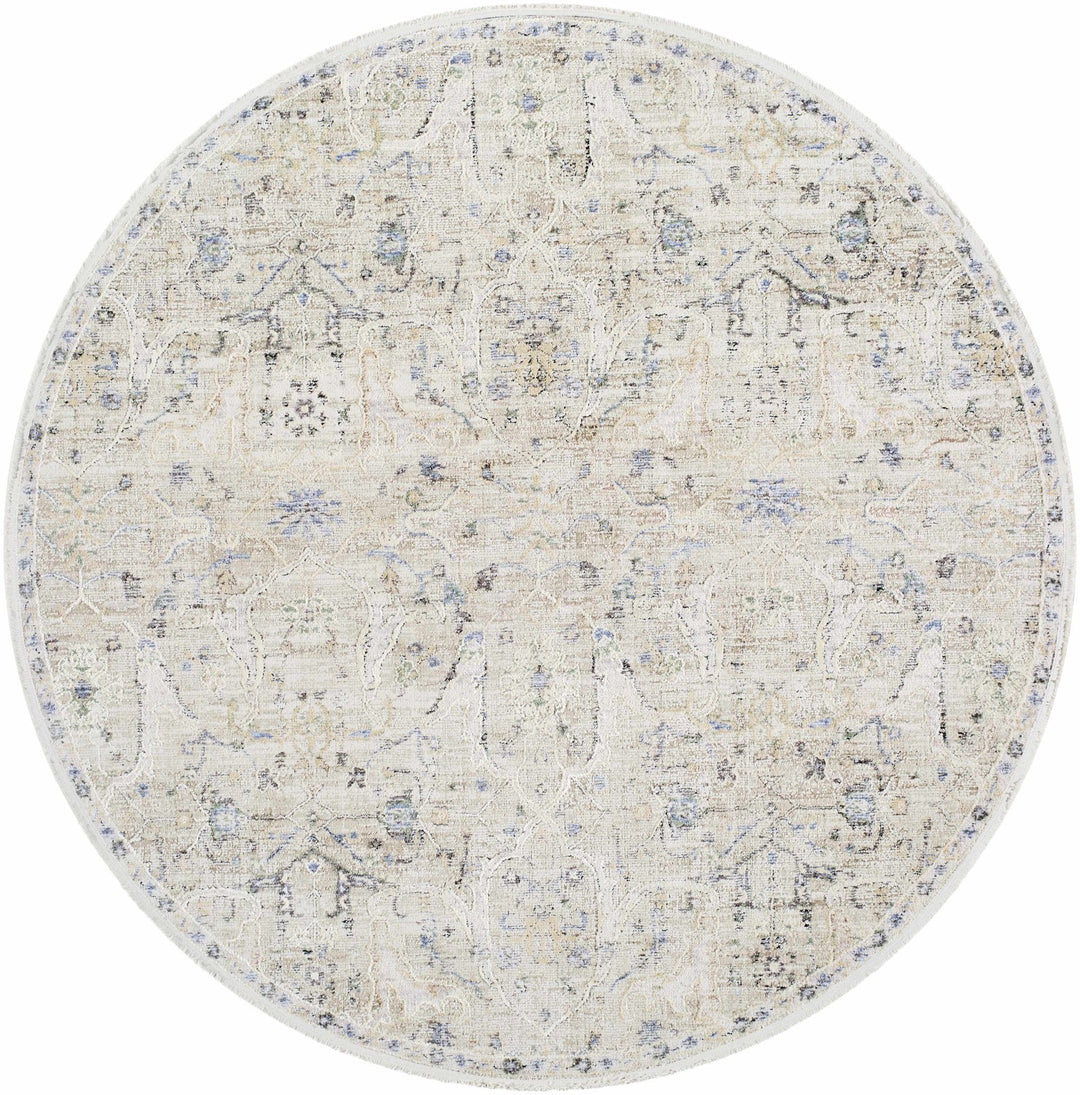 Margo Traditional Style Beige And Blue Area Rug - The Rug Decor