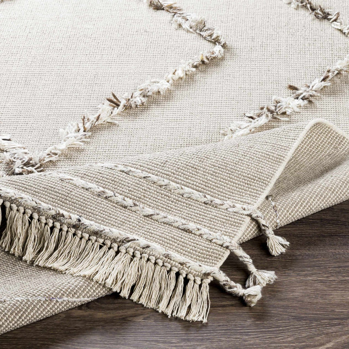 Marleston Beige Modern Style Hand Woven Area Rug - The Rug Decor