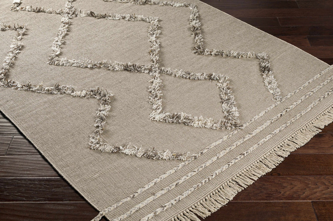 Marleston Beige Modern Style Hand Woven Area Rug - The Rug Decor