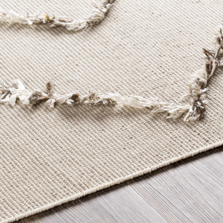 Marleston Beige Modern Style Hand Woven Area Rug - The Rug Decor