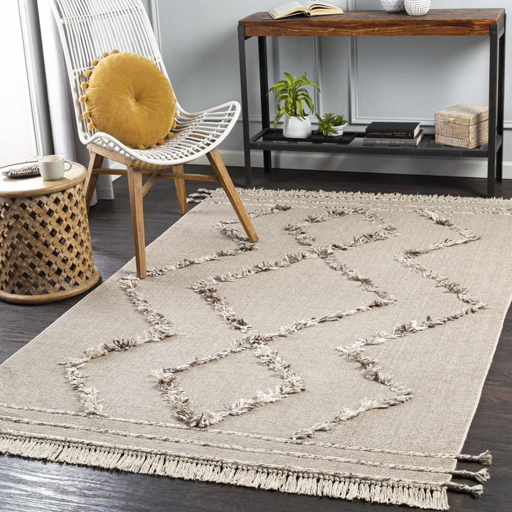 Marleston Beige Modern Style Hand Woven Area Rug - The Rug Decor