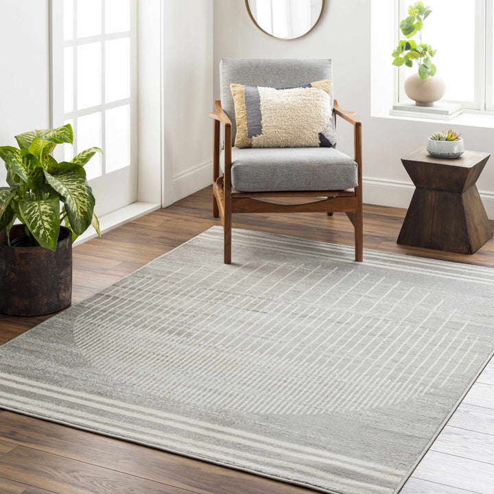 Massachusetts Contemporary Design Gray Area Rug - The Rug Decor