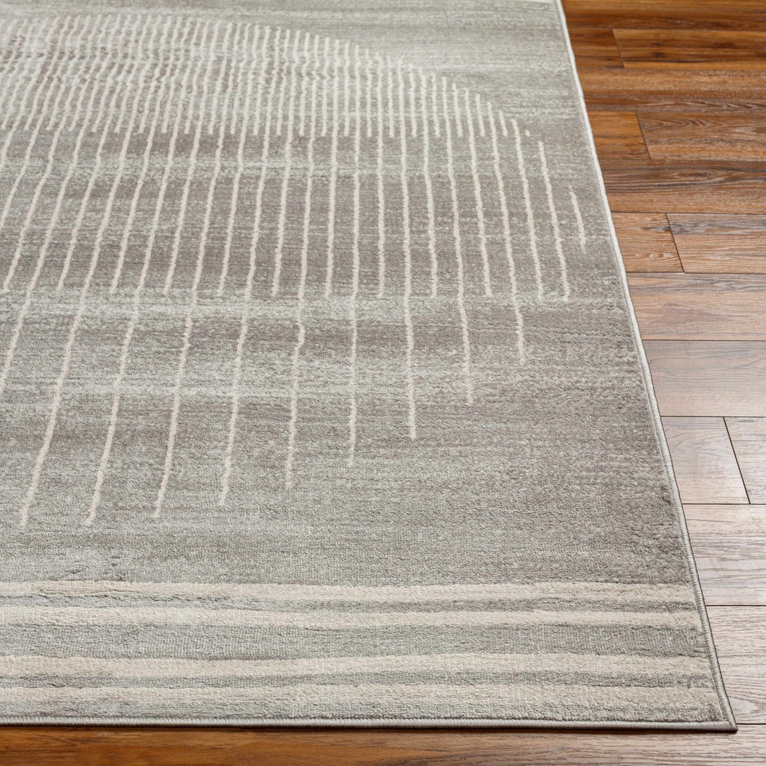 Massachusetts Contemporary Design Gray Area Rug - The Rug Decor