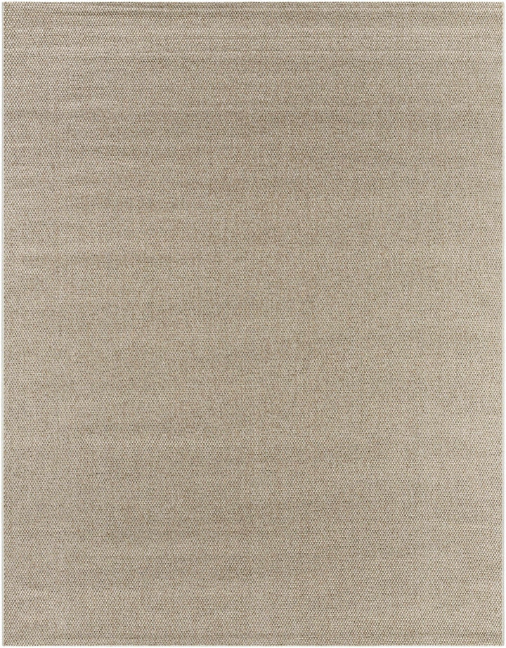 Matah Solid Beige And Brown Machine Woven Outdoor Area Rug - The Rug Decor