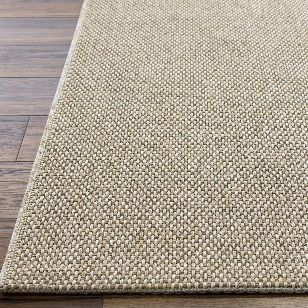 Matah Solid Beige And Brown Machine Woven Outdoor Area Rug - The Rug Decor
