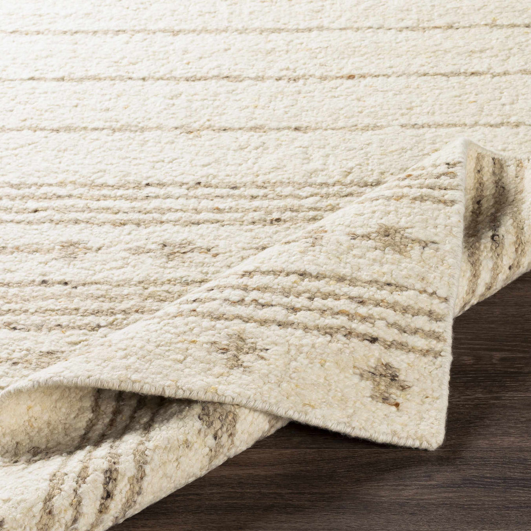Matawan Modern Style Ivory Hand Woven Wool Area Rug