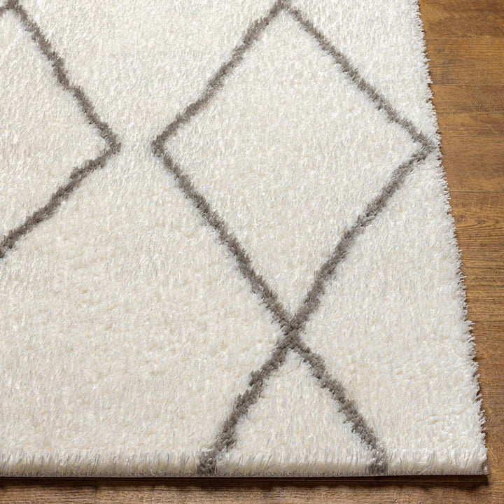 Maximiliano Ivory And Gray Contemporary Style Area Rug - The Rug Decor