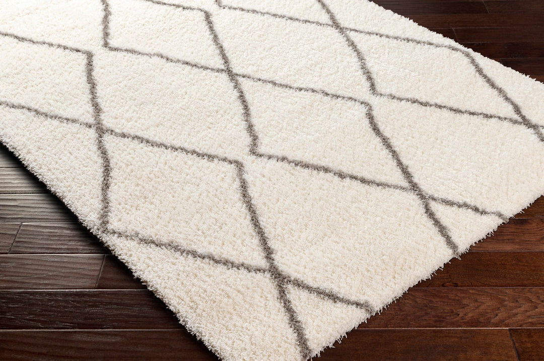 Maximiliano Ivory And Gray Contemporary Style Area Rug - The Rug Decor