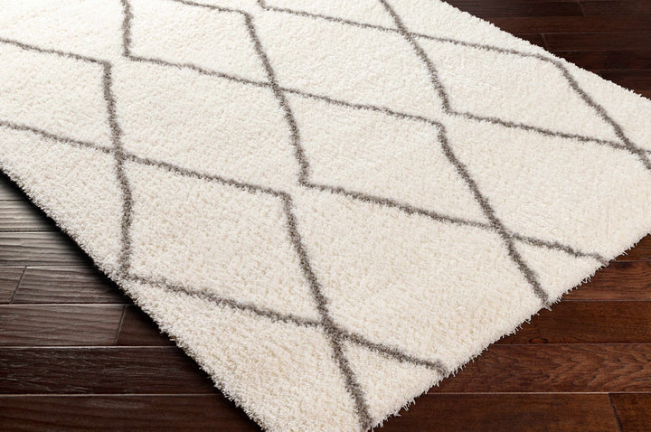 Maximiliano Ivory And Gray Contemporary Style Area Rug - The Rug Decor