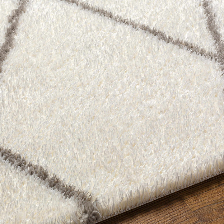 Maximiliano Ivory And Gray Contemporary Style Area Rug - The Rug Decor