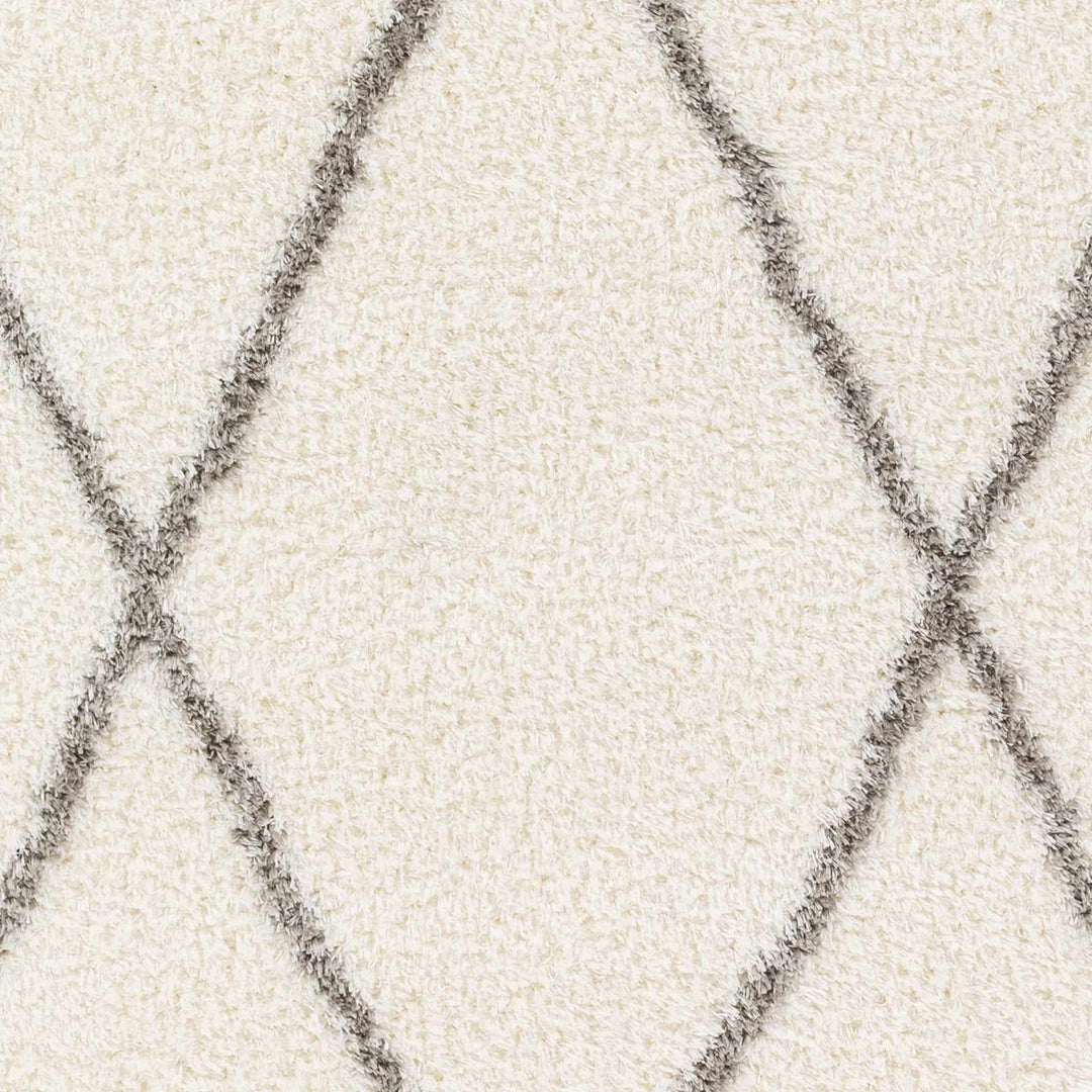 Maximiliano Ivory And Gray Contemporary Style Area Rug - The Rug Decor