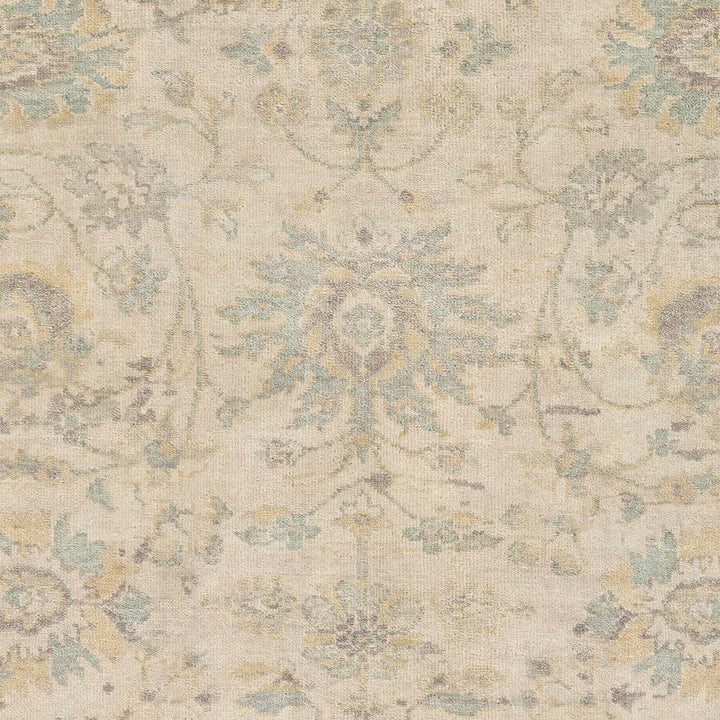 Maybee Traditional Floral Design Beige Hand Knotted Area Rug