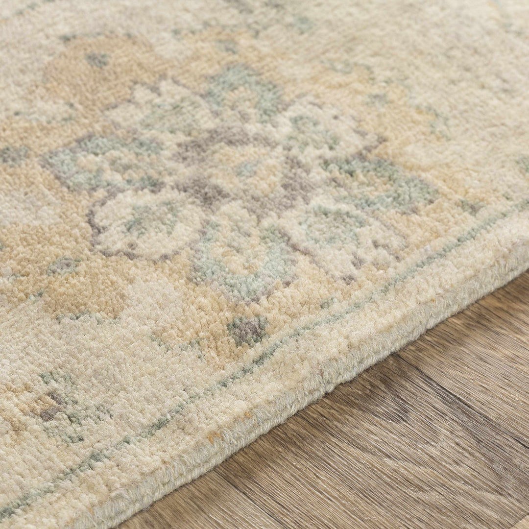 Maybee Traditional Floral Design Beige Hand Knotted Area Rug