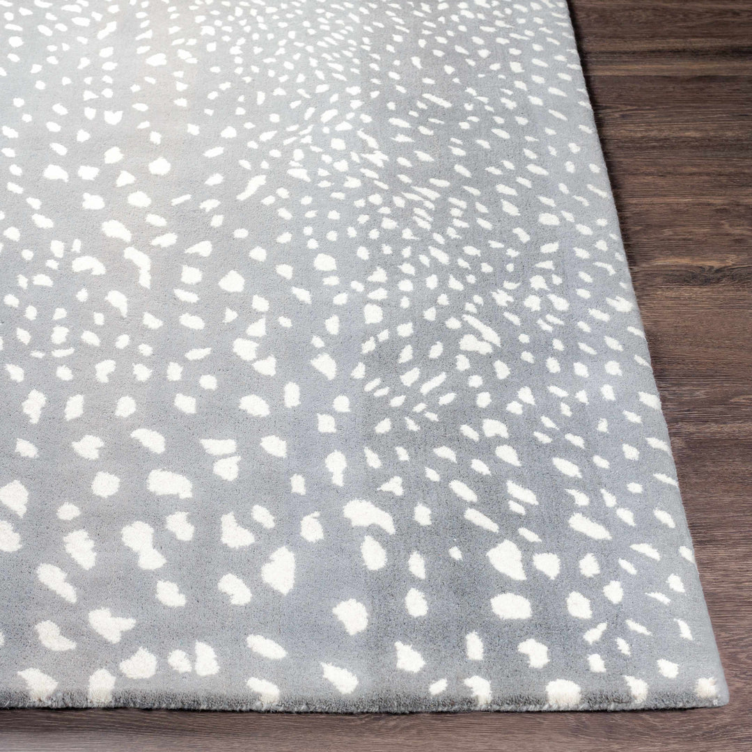 Amberley Gray And Ivory Modern Style Hand Tufted Area Rug