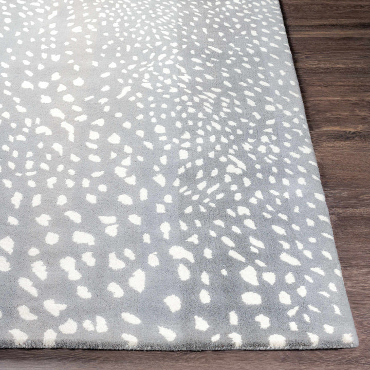 Amberley Gray And Ivory Modern Style Hand Tufted Area Rug