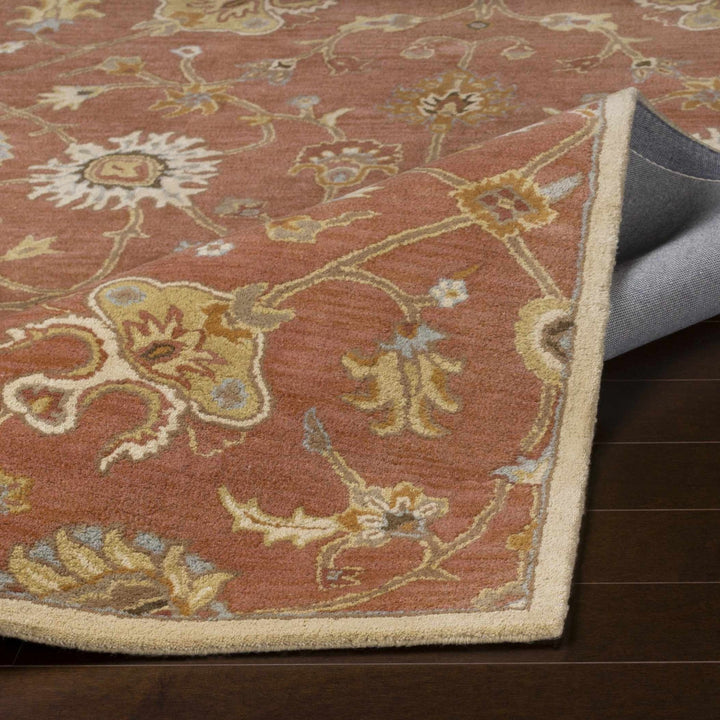 Mckeesport Traditional Persian Design Hand Tufted Rust Wool Rug - The Rug Decor