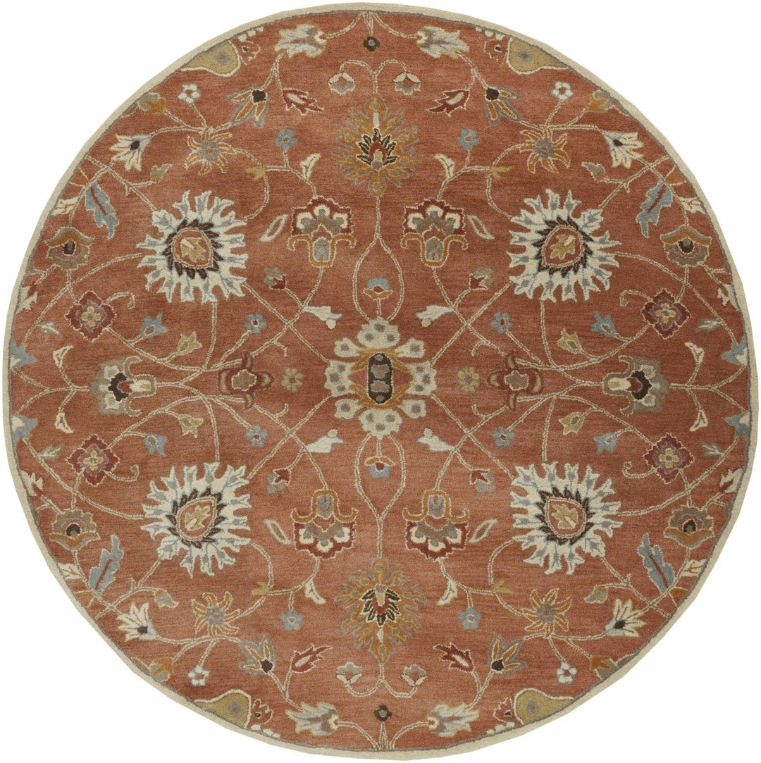 Mckeesport Traditional Persian Design Hand Tufted Rust Wool Rug - The Rug Decor