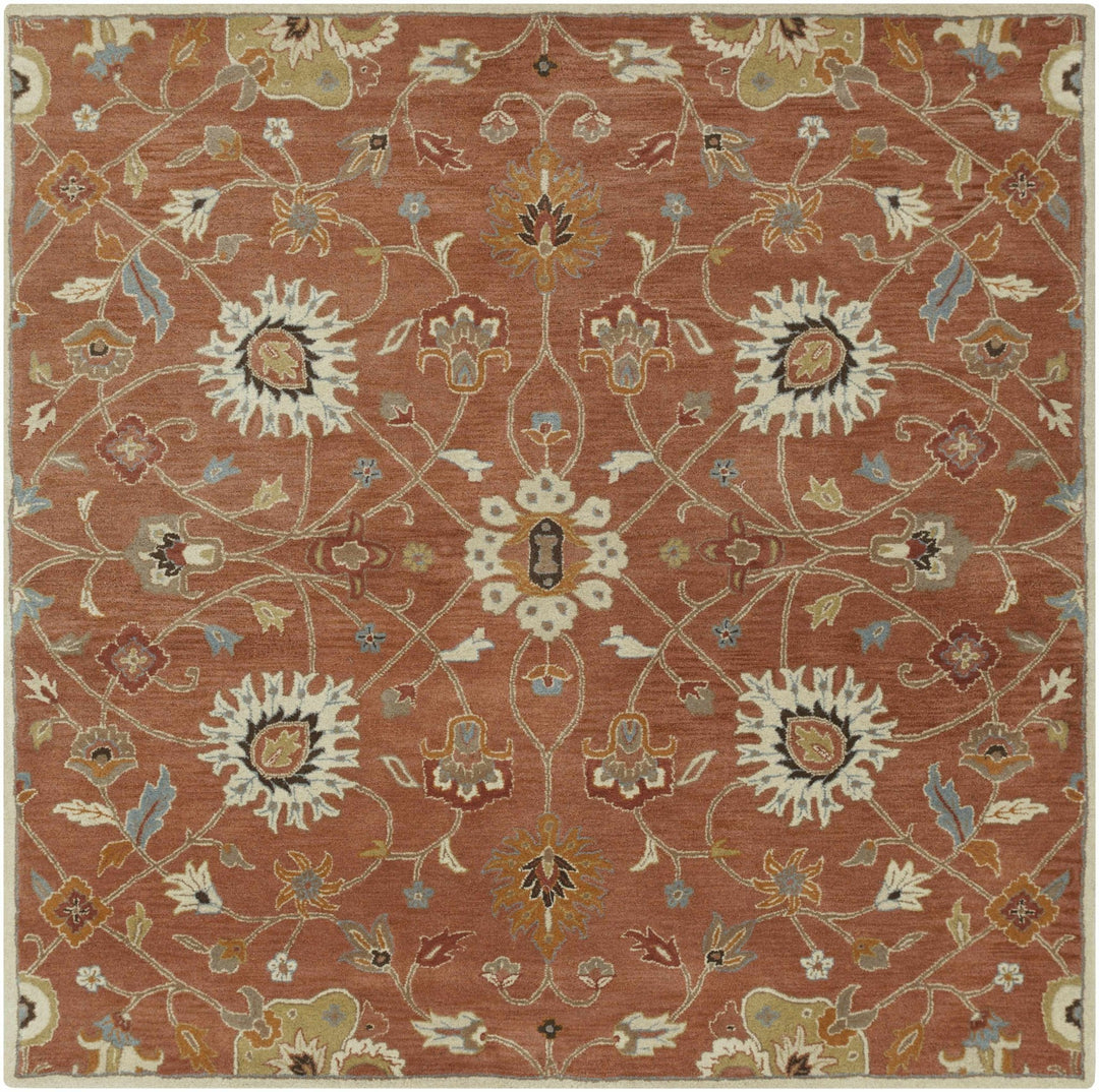 Mckeesport Traditional Persian Design Hand Tufted Rust Wool Rug - The Rug Decor