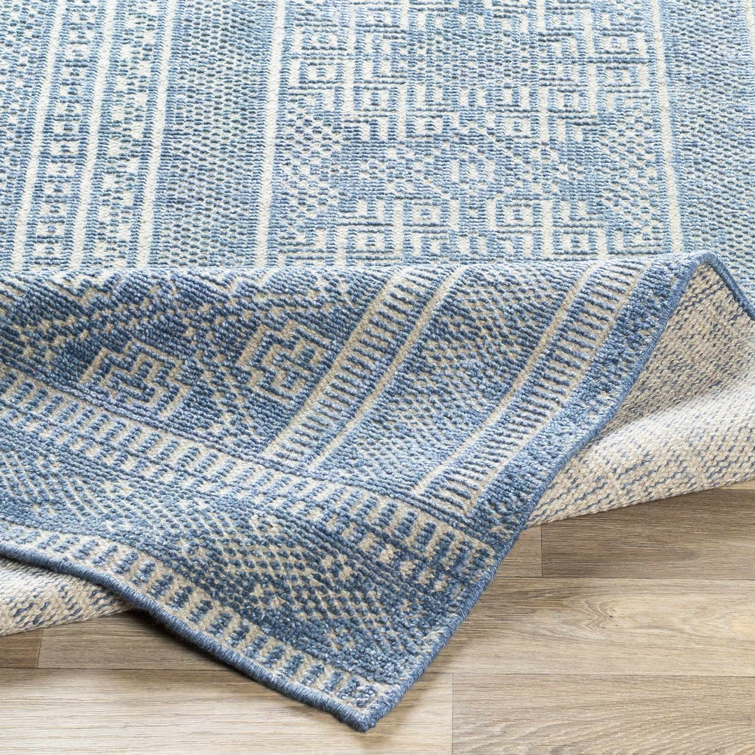 Meigs Traditional Style Blue Hand Knotted Wool Area Rug