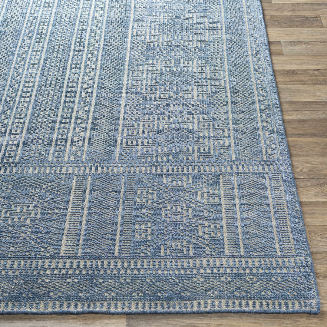 Meigs Traditional Style Blue Hand Knotted Wool Area Rug