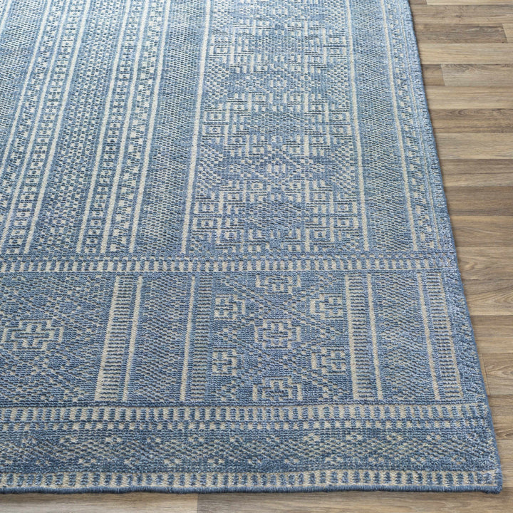 Meigs Traditional Style Blue Hand Knotted Wool Area Rug