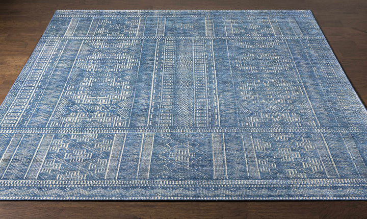 Meigs Traditional Style Blue Hand Knotted Wool Area Rug