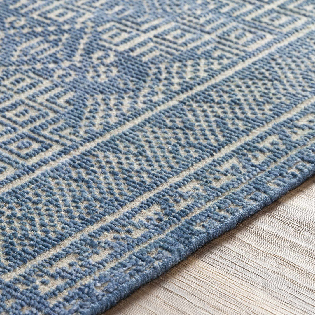 Meigs Traditional Style Blue Hand Knotted Wool Area Rug