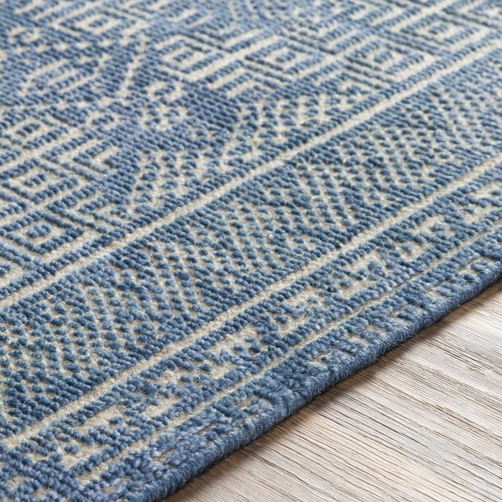 Meigs Traditional Style Blue Hand Knotted Wool Area Rug
