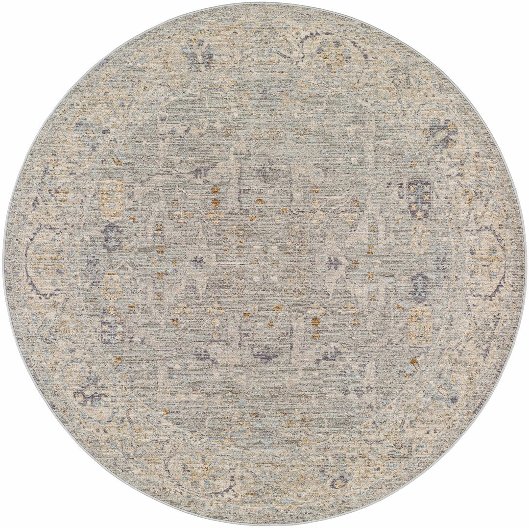 Merv Traditional Style Beige And Gray Area Rug - The Rug Decor