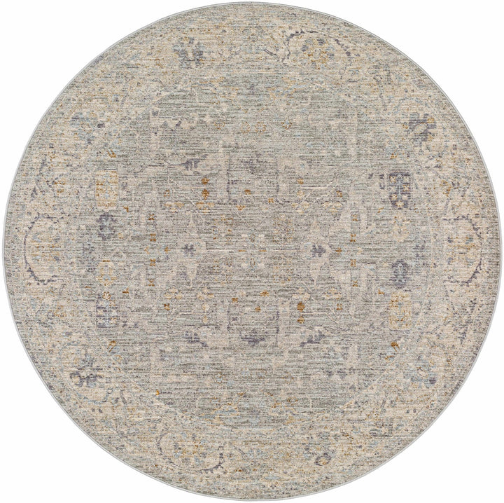 Merv Traditional Style Beige And Gray Area Rug - The Rug Decor