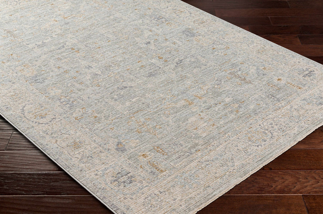 Merv Traditional Style Beige And Gray Area Rug - The Rug Decor