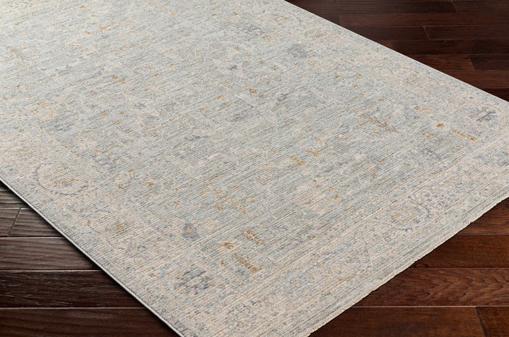 Merv Traditional Style Beige And Gray Area Rug - The Rug Decor