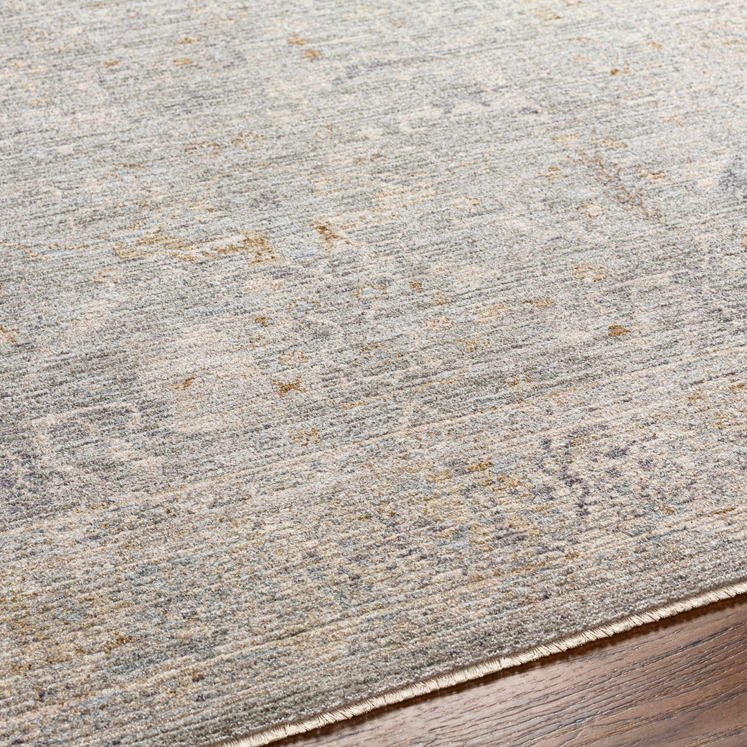 Merv Traditional Style Beige And Gray Area Rug - The Rug Decor