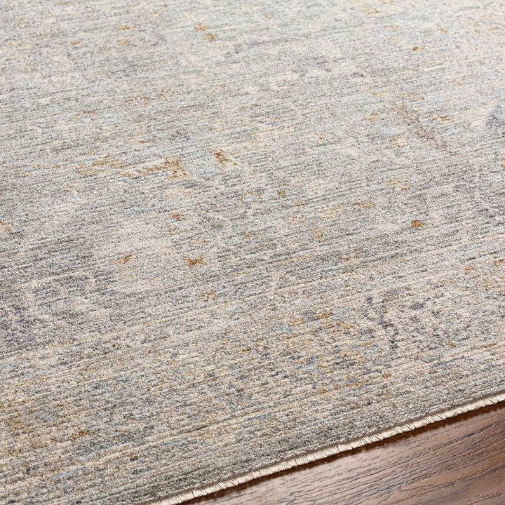 Merv Traditional Style Beige And Gray Area Rug - The Rug Decor