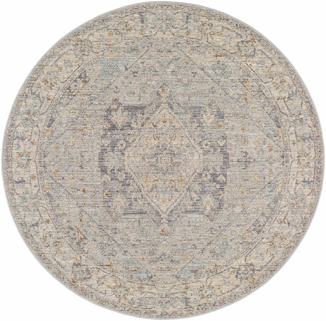 Merv Traditional Style Beige And Gray Area Rug - The Rug Decor