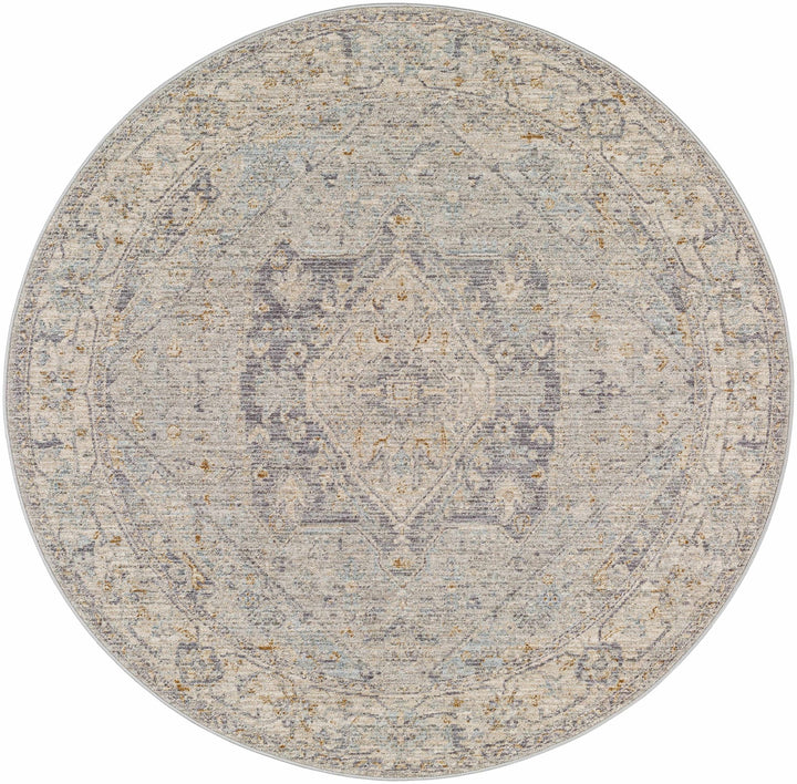 Merv Traditional Style Beige And Gray Area Rug - The Rug Decor