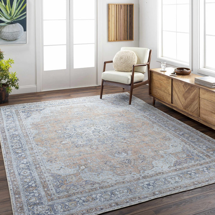 Mianay Transitional Gray And Beige Washable Rug - The Rug Decor