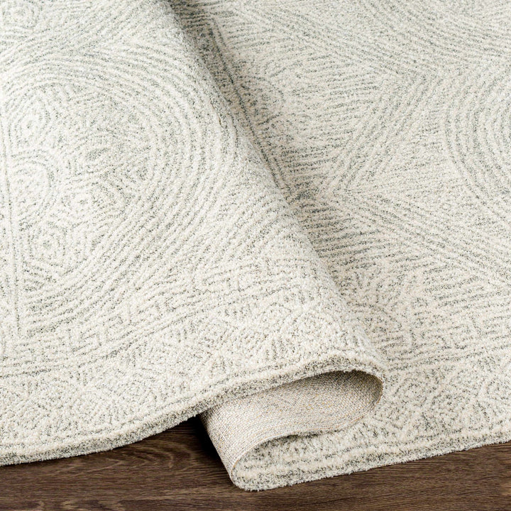 Middleville Contemporary Style Gray Machine Woven Luxe Rug - The Rug Decor