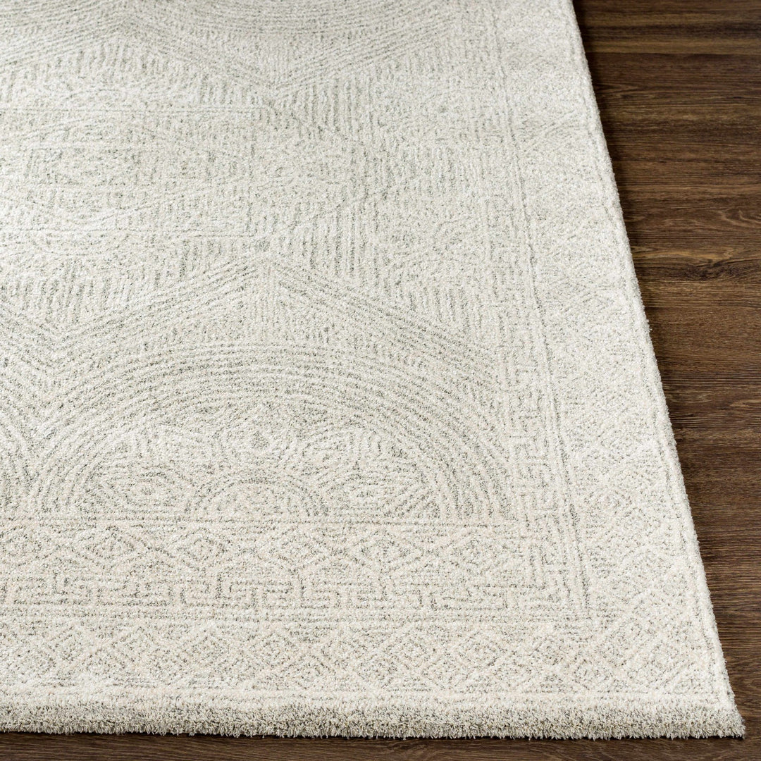 Middleville Contemporary Style Gray Machine Woven Luxe Rug - The Rug Decor