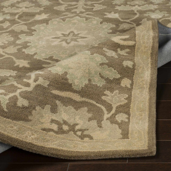 Minto Traditional Brown And Beige Oushak Wool Rug - The Rug Decor