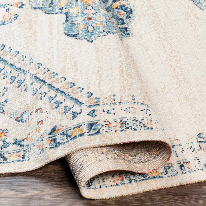 Mistissini Ivory And Blue Traditional Outdoor Safe Rug - The Rug Decor
