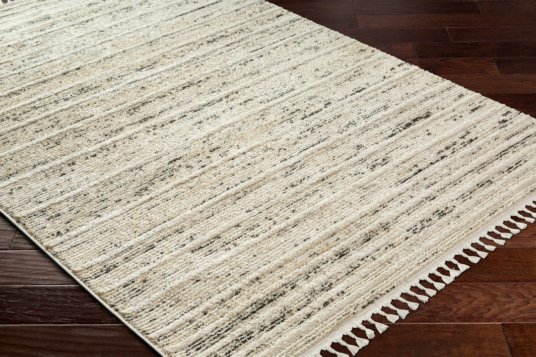 Miyu Contemporary Beige And Black Area Rug - The Rug Decor