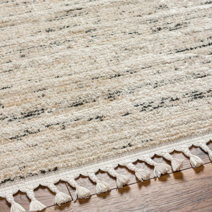 Miyu Contemporary Beige And Black Area Rug - The Rug Decor