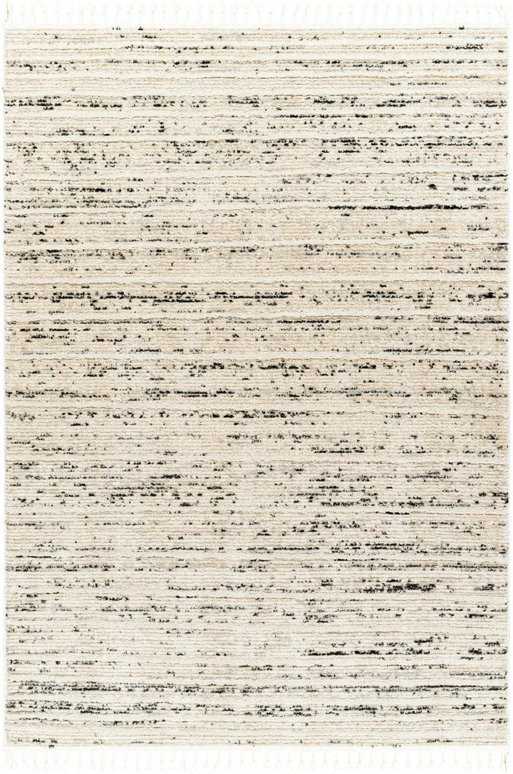 Miyu Contemporary Beige And Black Area Rug - The Rug Decor