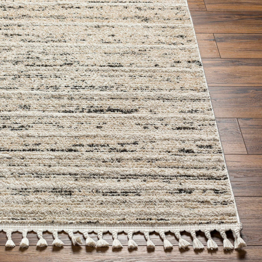 Miyu Contemporary Beige And Black Area Rug - The Rug Decor