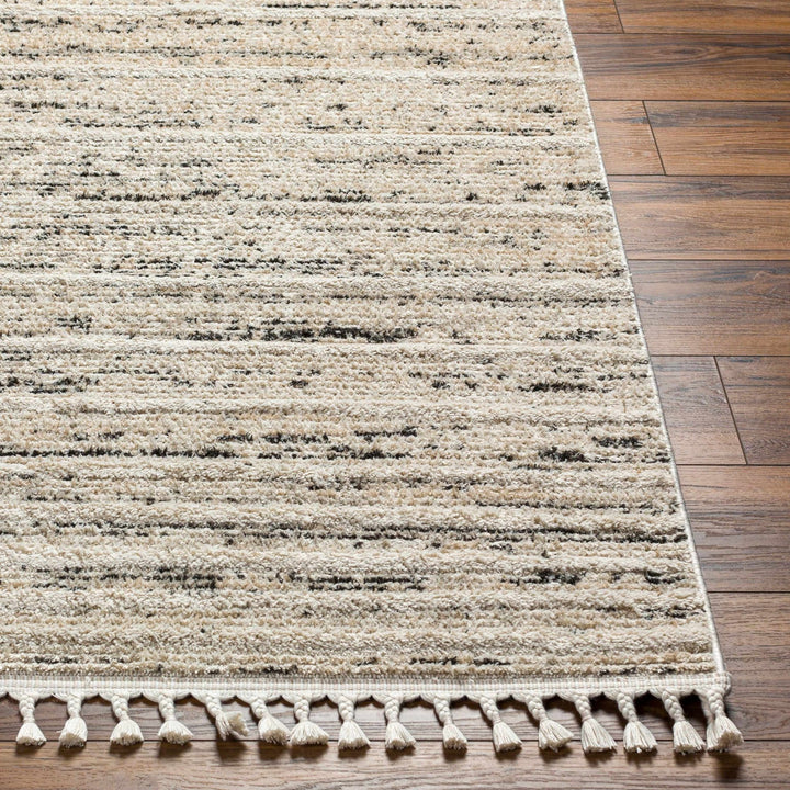 Miyu Contemporary Beige And Black Area Rug - The Rug Decor