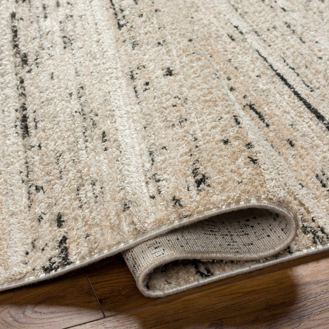 Miyu Contemporary Beige And Black Area Rug - The Rug Decor