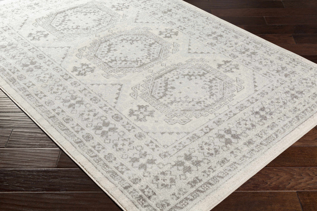 Moundsville Traditional Style Ivory And Gray Area Rug