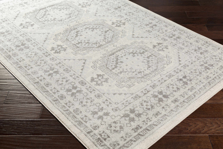 Moundsville Traditional Style Ivory And Gray Area Rug