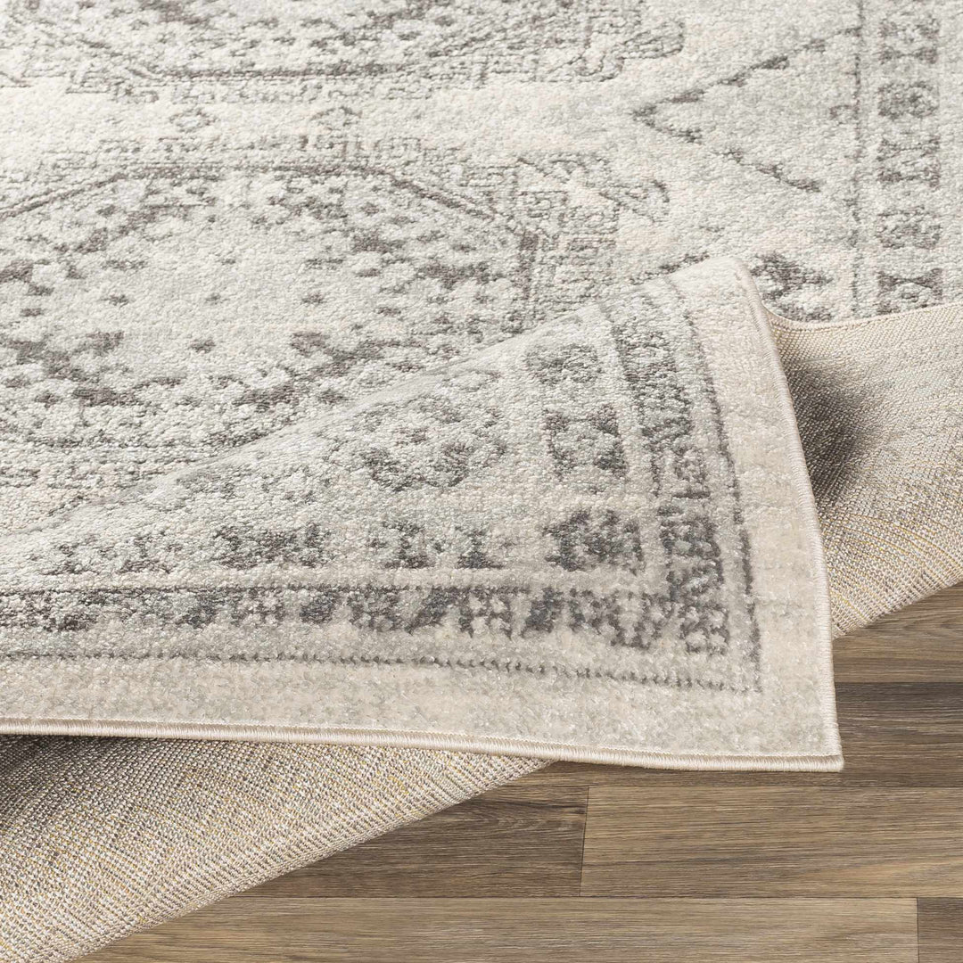 Moundsville Traditional Style Ivory And Gray Area Rug